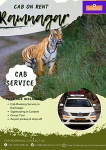 Cab Booking Service in Ramnagar